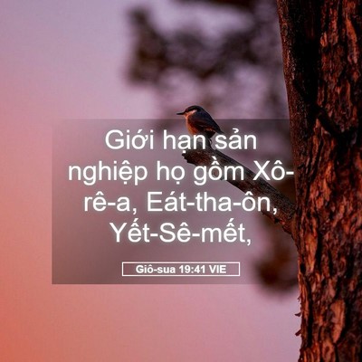 Picture 05 - Giô-sua 19:41 VIE - Giới hạn sản nghiệp họ gồm Xô-rê-a, - Bible Verse Picture