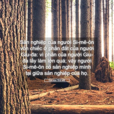Picture 05 - Giô-sua 19:9 VIE - Sản nghiệp của người Si-mê-ôn vốn - Bible Verse Picture