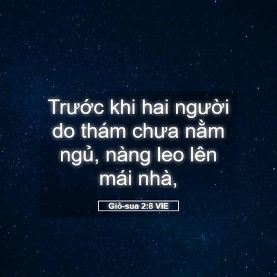 Picture 05 - Giô-sua 2:8 VIE - Trước khi hai người do thám chưa nằm - Bible Verse Picture