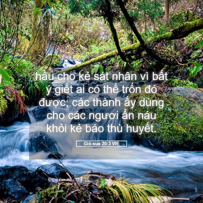 Picture 05 - Giô-sua 20:3 VIE - hầu cho kẻ sát nhân vì bất ý giết ai - Bible Verse Picture