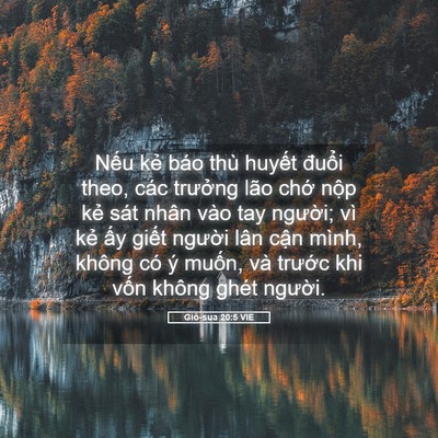 Picture 05 - Giô-sua 20:5 VIE - Nếu kẻ báo thù huyết đuổi theo, các - Bible Verse Picture