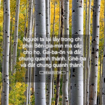 Picture 05 - Giô-sua 21:17 VIE - Người ta lại lấy trong chi phái - Bible Verse Picture