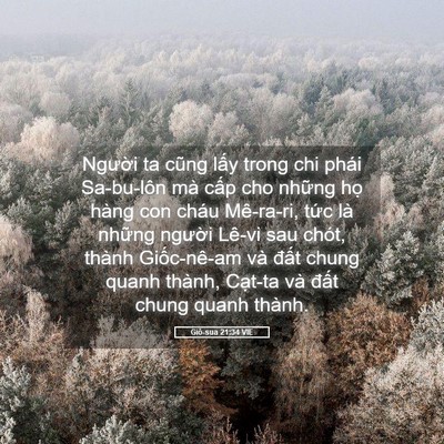 Picture 05 - Giô-sua 21:34 VIE - Người ta cũng lấy trong chi phái - Bible Verse Picture