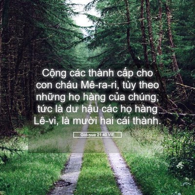 Picture 05 - Giô-sua 21:40 VIE - Cộng các thành cấp cho con cháu Mê-ra-ri, - Bible Verse Picture