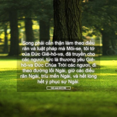 Picture 05 - Giô-sua 22:5 VIE - Song phải cẩn thận làm theo điều răn - Bible Verse Picture