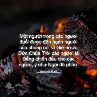Picture 05 - Giô-sua 23:10 VIE - Một người trong các ngươi đuổi - Bible Verse Picture