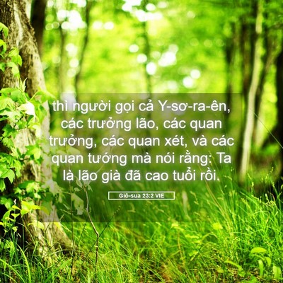 Picture 05 - Giô-sua 23:2 VIE - thì người gọi cả Y-sơ-ra-ên, các - Bible Verse Picture