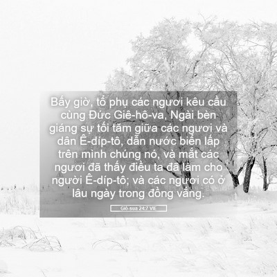 Picture 05 - Giô-sua 24:7 VIE - Bấy giờ, tổ phụ các ngươi kêu cầu - Bible Verse Picture