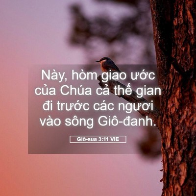 Picture 05 - Giô-sua 3:11 VIE - Này, hòm giao ước của Chúa cả thế - Bible Verse Picture