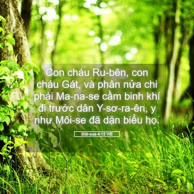 Picture 05 - Giô-sua 4:12 VIE - Con cháu Ru-bên, con cháu Gát, và phân - Bible Verse Picture