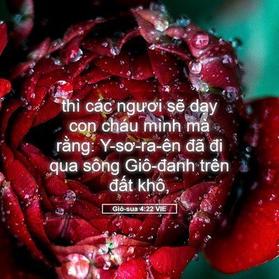 Picture 05 - Giô-sua 4:22 VIE - thì các ngươi sẽ dạy con cháu mình mà - Bible Verse Picture
