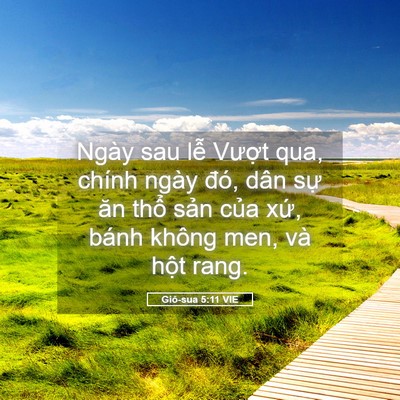 Picture 05 - Giô-sua 5:11 VIE - Ngày sau lễ Vượt qua, chính ngày đó, - Bible Verse Picture
