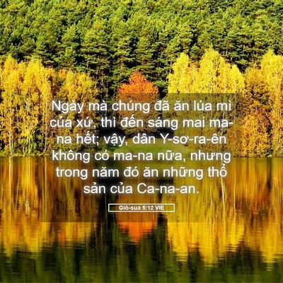 Picture 05 - Giô-sua 5:12 VIE - Ngày mà chúng đã ăn lúa mì của xứ, - Bible Verse Picture
