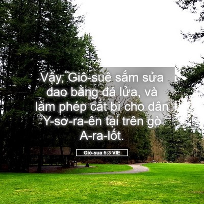 Picture 05 - Giô-sua 5:3 VIE - Vậy, Giô-suê sắm sửa dao bằng đá - Bible Verse Picture