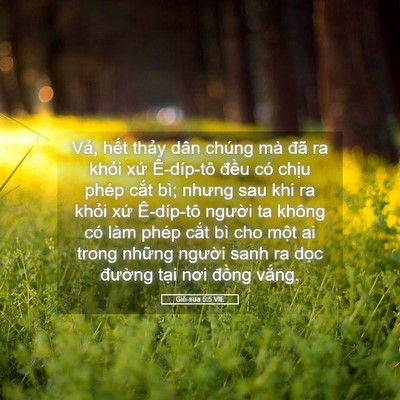Picture 05 - Giô-sua 5:5 VIE - Vả, hết thảy dân chúng mà đã ra khỏi - Bible Verse Picture
