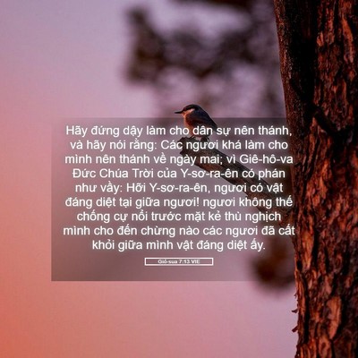 Picture 05 - Giô-sua 7:13 VIE - Hãy đứng dậy làm cho dân sự nên - Bible Verse Picture