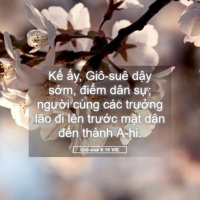 Picture 05 - Giô-sua 8:10 VIE - Kế ấy, Giô-suê dậy sớm, điểm dân - Bible Verse Picture