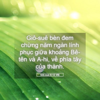 Picture 05 - Giô-sua 8:12 VIE - Giô-suê bèn đem chừng năm ngàn lính - Bible Verse Picture