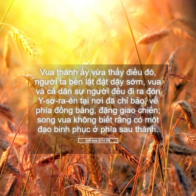 Picture 05 - Giô-sua 8:14 VIE - Vua thành ấy vừa thấy điều đó, - Bible Verse Picture