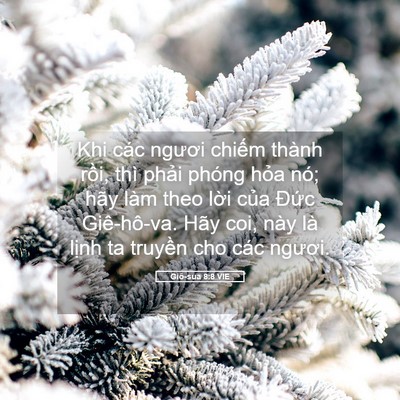 Picture 05 - Giô-sua 8:8 VIE - Khi các ngươi chiếm thành rồi, thì - Bible Verse Picture