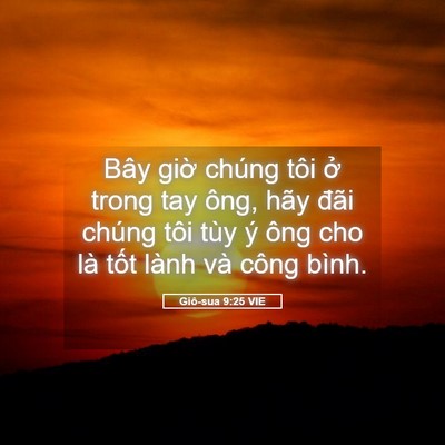 Picture 05 - Giô-sua 9:25 VIE - Bây giờ chúng tôi ở trong tay ông, hãy - Bible Verse Picture
