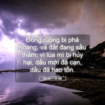 Picture 05 - Giô-ên 1:10 VIE - Đồng ruộng bị phá hoang, và đất đang - Bible Verse Picture