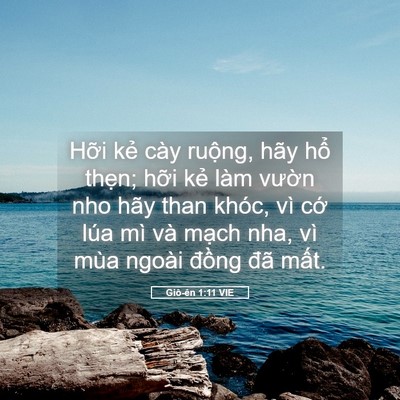 Picture 05 - Giô-ên 1:11 VIE - Hỡi kẻ cày ruộng, hãy hổ thẹn; hỡi - Bible Verse Picture