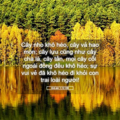 Picture 05 - Giô-ên 1:12 VIE - Cây nho khô héo, cây vả hao mòn; cây - Bible Verse Picture