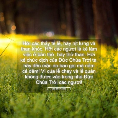Picture 05 - Giô-ên 1:13 VIE - Hỡi các thầy tế lễ, hãy nịt lưng và - Bible Verse Picture