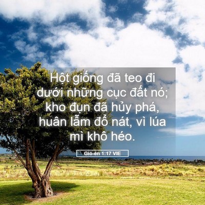Picture 05 - Giô-ên 1:17 VIE - Hột giống đã teo đi dưới những cục - Bible Verse Picture
