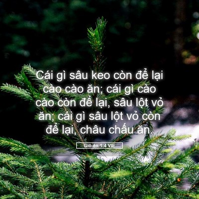 Picture 05 - Giô-ên 1:4 VIE - Cái gì sâu keo còn để lại cào cào ăn; - Bible Verse Picture