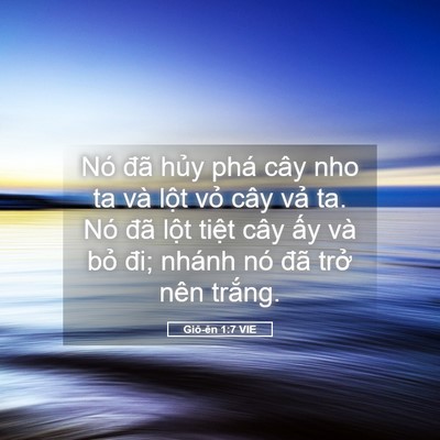 Picture 05 - Giô-ên 1:7 VIE - Nó đã hủy phá cây nho ta và lột vỏ - Bible Verse Picture