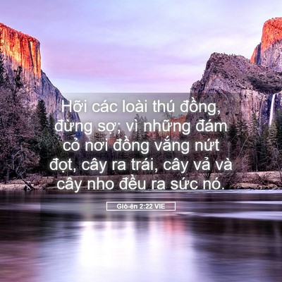 Picture 05 - Giô-ên 2:22 VIE - Hỡi các loài thú đồng, đừng sợ; vì - Bible Verse Picture
