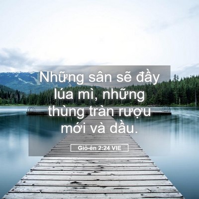 Picture 05 - Giô-ên 2:24 VIE - Những sân sẽ đầy lúa mì, những thùng - Bible Verse Picture