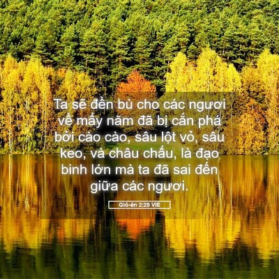 Picture 05 - Giô-ên 2:25 VIE - Ta sẽ đền bù cho các ngươi về mấy - Bible Verse Picture