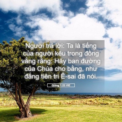 Picture 05 - Giăng 1:23 VIE - Người trả lời: Ta là tiếng của - Bible Verse Picture