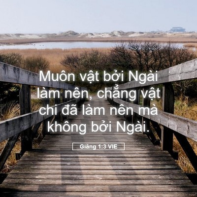 Picture 05 - Giăng 1:3 VIE - Muôn vật bởi Ngài làm nên, chẳng vật - Bible Verse Picture