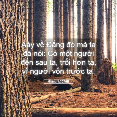 Picture 05 - Giăng 1:30 VIE - Aáy về Đấng đó mà ta đã nói: Có - Bible Verse Picture