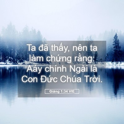 Picture 05 - Giăng 1:34 VIE - Ta đã thấy, nên ta làm chứng rằng: Aáy - Bible Verse Picture