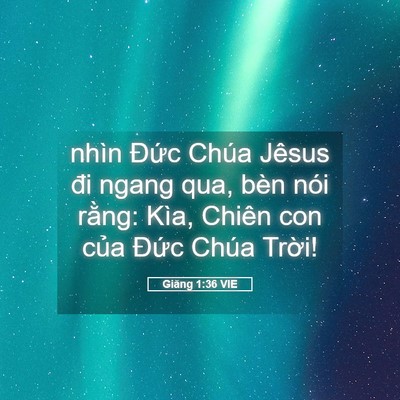 Picture 05 - Giăng 1:36 VIE - nhìn Đức Chúa Jêsus đi ngang qua, bèn - Bible Verse Picture