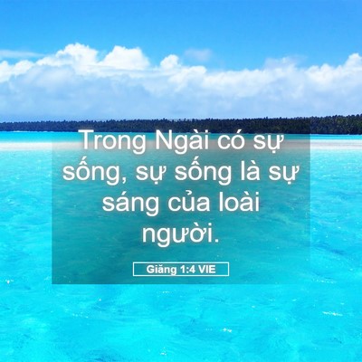 Picture 05 - Giăng 1:4 VIE - Trong Ngài có sự sống, sự sống là sự - Bible Verse Picture