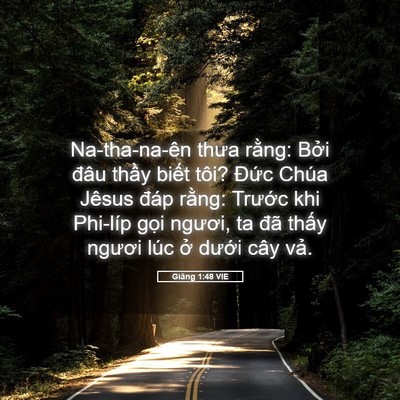 Picture 05 - Giăng 1:48 VIE - Na-tha-na-ên thưa rằng: Bởi đâu thầy - Bible Verse Picture