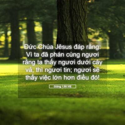 Picture 05 - Giăng 1:50 VIE - Đức Chúa Jêsus đáp rằng: Vì ta đã - Bible Verse Picture