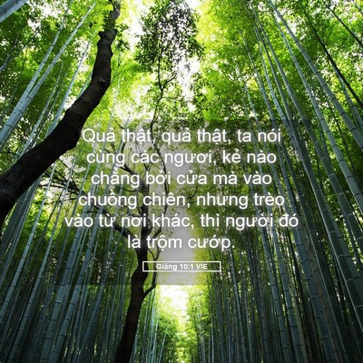 Picture 05 - Giăng 10:1 VIE - Quả thật, quả thật, ta nói cùng các - Bible Verse Picture