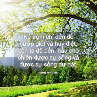 Picture 05 - Giăng 10:10 VIE - Kẻ trộm chỉ đến để cướp giết và - Bible Verse Picture