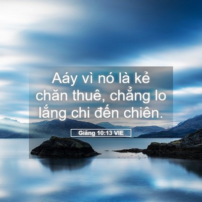 Picture 05 - Giăng 10:13 VIE - Aáy vì nó là kẻ chăn thuê, chẳng lo - Bible Verse Picture