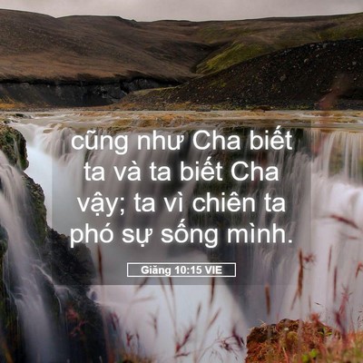 Picture 05 - Giăng 10:15 VIE - cũng như Cha biết ta và ta biết Cha vậy; - Bible Verse Picture