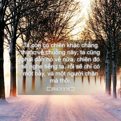 Picture 05 - Giăng 10:16 VIE - Ta còn có chiên khác chẳng thuộc về - Bible Verse Picture