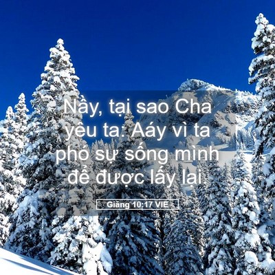 Picture 05 - Giăng 10:17 VIE - Nầy, tại sao Cha yêu ta: Aáy vì ta phó - Bible Verse Picture