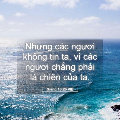 Picture 05 - Giăng 10:26 VIE - Nhưng các ngươi không tin ta, vì các - Bible Verse Picture